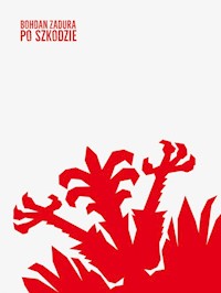 Po szkodzie - Zadura Bohdan - ebook + książka