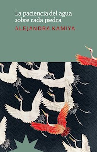 La paciencia del agua sobre cada piedra - Alejandra Kamiya - ebook