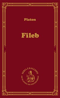 Fileb O rozkoszy średnich etycznych - Platon - książka