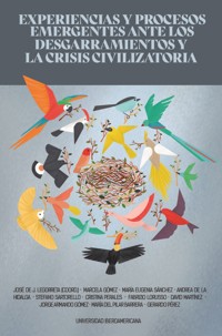 Experiencias y procesos emergentes ante los desgarramientos y la crisis civilizatoria -  - ebook