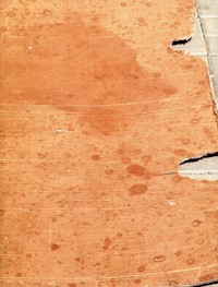 Honky - Skiba Piotr - książka