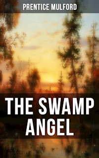 THE SWAMP ANGEL - Prentice Mulford - ebook
