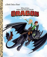 Dreamworks How to Train Your Dragon - Finley Shawn - książka