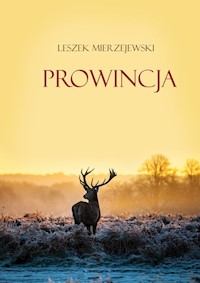 Prowincja - Leszek Mierzejewski - książka