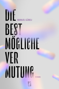 Die bestmögliche Vermutung - Manuel Gübeli - ebook