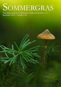Sommergras 126 -  - ebook