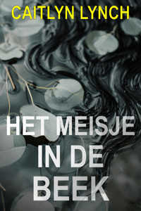 Het Meisje in de beek - Caitlyn Lynch - ebook
