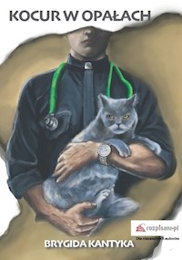 Kocur w opałach - Kantyka Brygida - książka