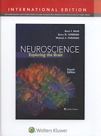 Neuroscience Exploring the Brain, Fourth edition - Bear Mark, Connors Barry, Paradiso Mike - książka
