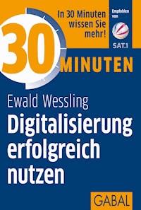 30 Minuten Digitalisierung erfolgreich nutzen - Ewald Wessling - ebook