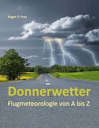 Donnerwetter -  - ebook
