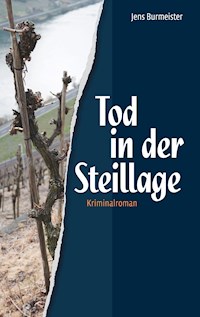 Tod in der Steillage - Jens Burmeister - ebook