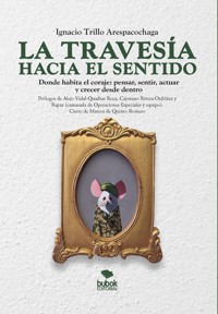 La travesía hacia el sentido - Ignacio Trillo Arespacochaga - ebook