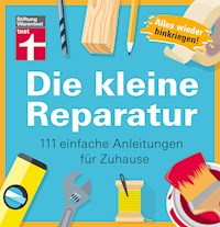 Die kleine Reparatur - Hess Thomas - ebook