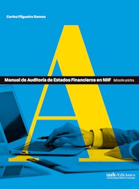 Manual de Auditoría de Estados Financieros en NIIF - Carlos Filgueira Ramos - ebook