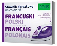 Słownik obrazkowy na co dzień francuski-polski -  - książka