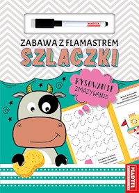 Zabawa z flamastrem. Szlaczki - Salamon Katarzyna - książka