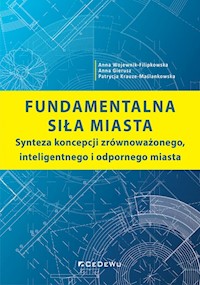 Fundamentalna siła miasta - Wojewnik-Filipkowska Anna, Gierusz Anna, Krauze-Maślankowska Patrycja - książka