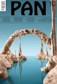 PAN 10 - VV. AA. - ebook