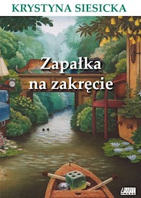 Zapałka na zakręcie - Krystyna Siesicka - książka