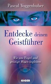 Entdecke deinen Geistführer - Voggenhuber Pascal - ebook