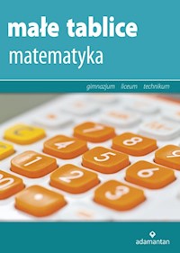 Małe tablice Matematyka - Mizerski Witold - książka