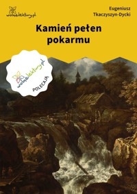 Kamień pełen pokarmu - Tkaczyszyn-Dycki Eugeniusz - ebook