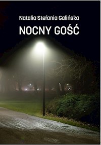 Nocny Gość - Galińska Natalia Stefania - książka