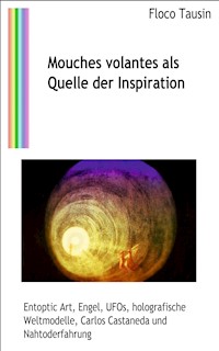 Mouches volantes als Quelle der Inspiration - Floco Tausin - ebook