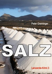 Salz - Peter Greminger - ebook