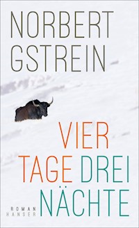 Vier Tage, drei Nächte - Gstrein Norbert - ebook