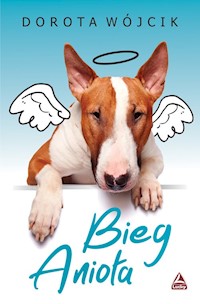 Bieg anioła - Dorota Wójcik - książka