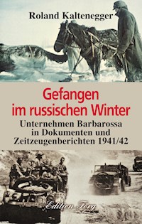 Gefangen im russischen Winter - Roland Kaltenegger - ebook