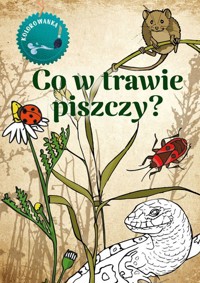 Co w trawie piszczy. Kolorowanka - Katarzyna Kopiec-Sekieta - książka