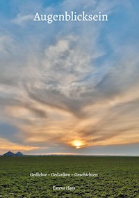 Augenblicksein - Esteva Hara - ebook