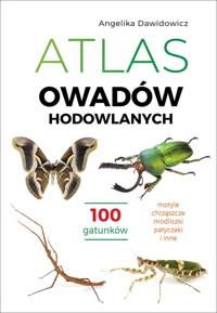Atlas owadów hodowlanych. 100 gatunków - Angelika Dawidowicz - książka