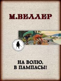 На волю, в пампасы! - Михаил Веллер - ebook