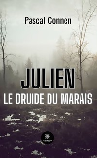 Julien le druide du marais - Pascal Connen - ebook