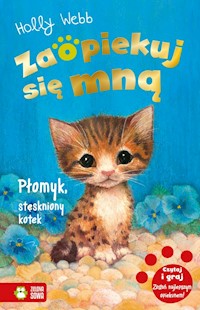 Zaopiekuj się mną Płomyk stęskniony kotek - Webb Holly - książka