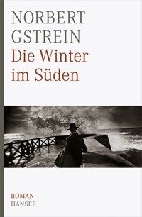 Die Winter im Süden - Gstrein Norbert - ebook