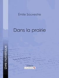Dans la prairie - Emile Souvestre - ebook