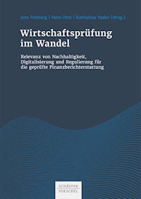Wirtschaftsprüfung im Wandel -  - ebook
