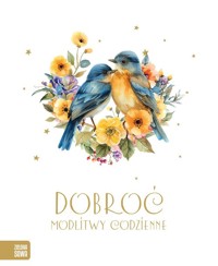 Modlitwy codzienne. Dobroć - Płatkowska Paulina - książka