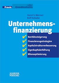 Unternehmensfinanzierung - Horst S. Werner - ebook