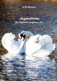 Jugendliebe - O.W. Stevens - ebook