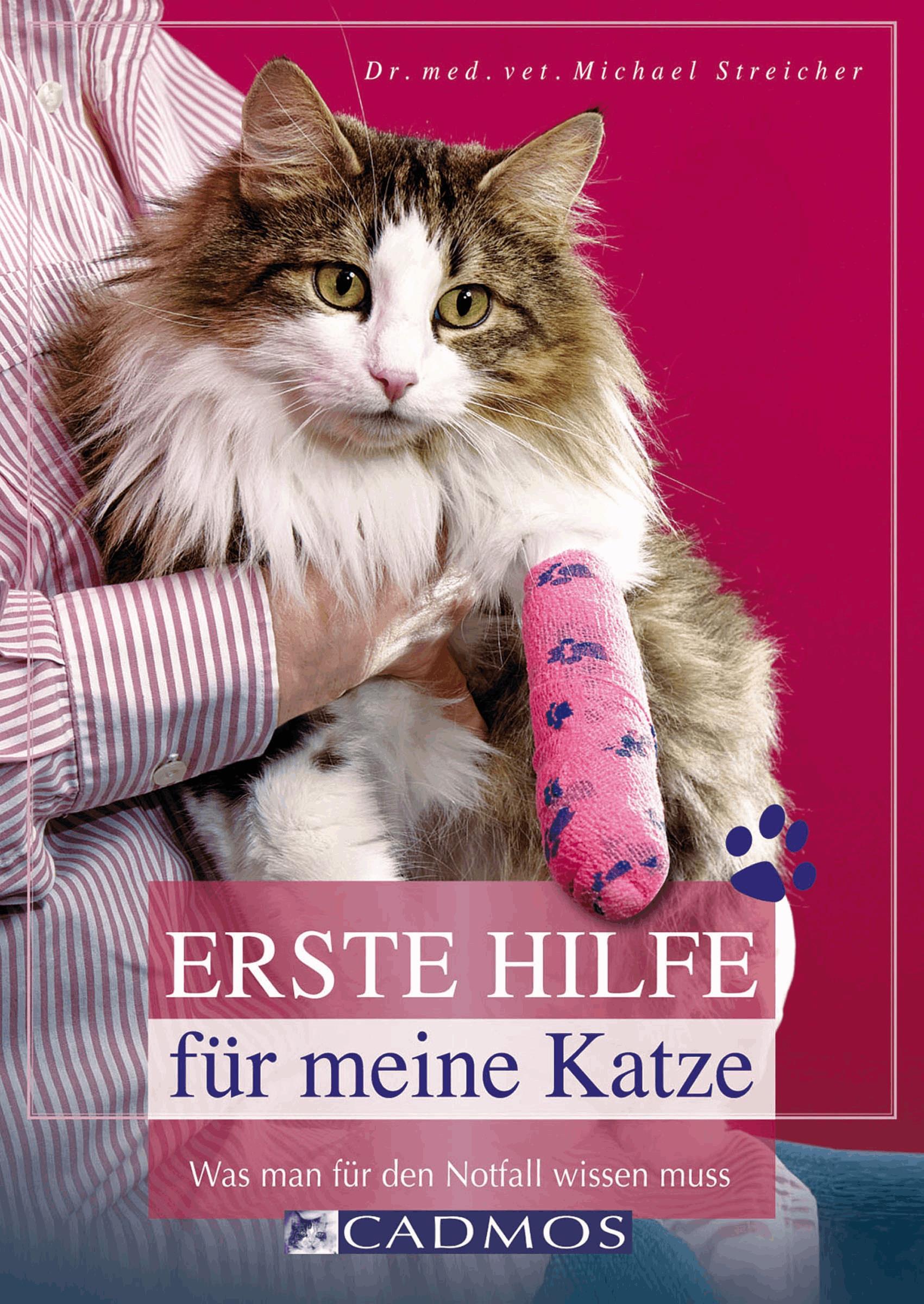 Erste Hilfe für meine Katze