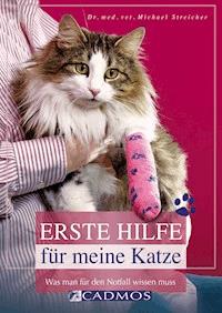 Erste Hilfe für meine Katze - Michael Streicher - ebook