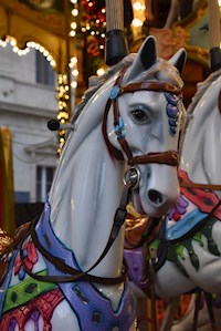 Die Autistin - Michel Tapión - ebook