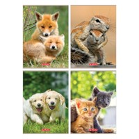 Zeszyt Herlitz Animals A4/32k linia podwójna kolorowa, 1 szt -  - książka