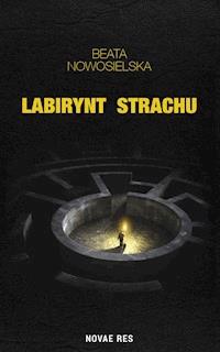 Labirynt strachu - Beata Nowosielska - ebook + książka